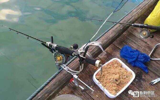 春季桥上筏钓饵料(桥上筏钓怎样打窝视频) 春季桥上筏钓饵料(桥上筏钓怎样打窝视频)