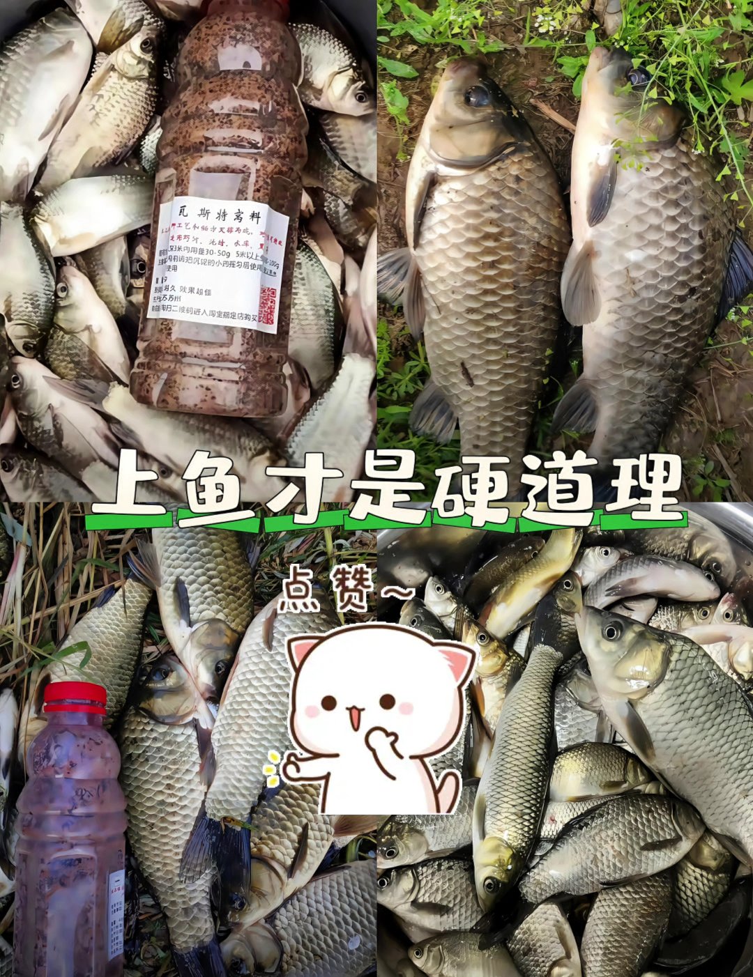 春季桥上筏钓饵料(桥上筏钓怎样打窝视频) 春季桥上筏钓饵料(桥上筏钓怎样打窝视频)