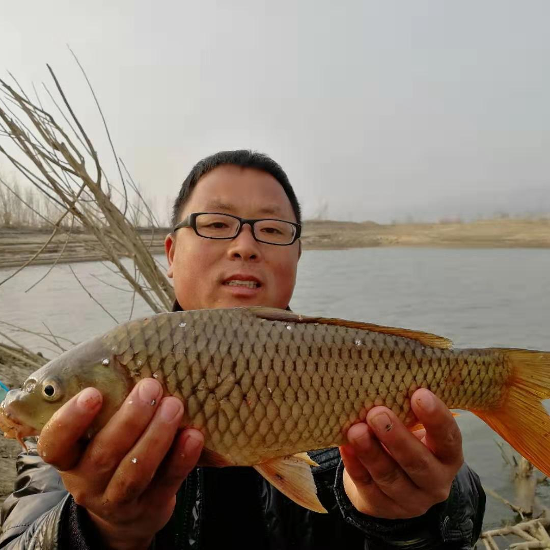 野沙坑钓鱼技巧(沙坑钓鲫鱼技巧) 野沙坑钓鱼技巧(沙坑钓鲫鱼技巧)