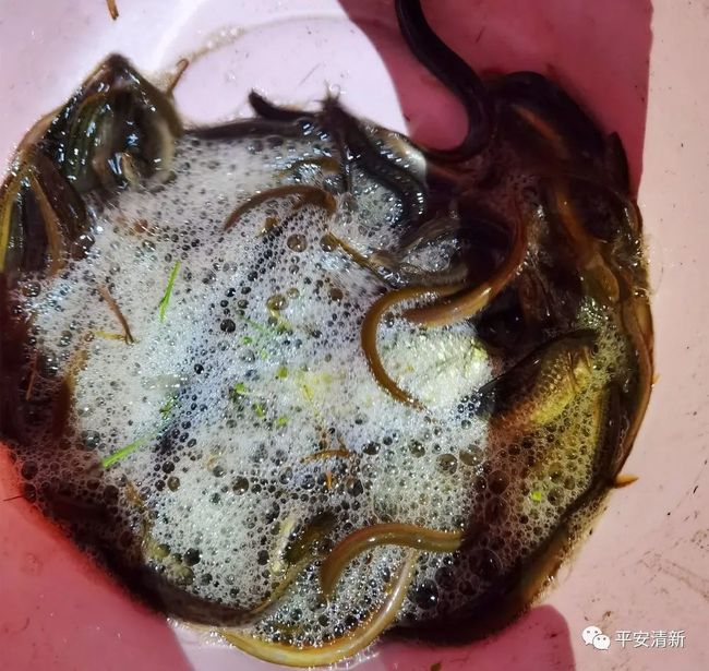 南京清远渔具店(渔具批发市场进货渠道) 南京清远渔具店(渔具批发市场进货渠道)