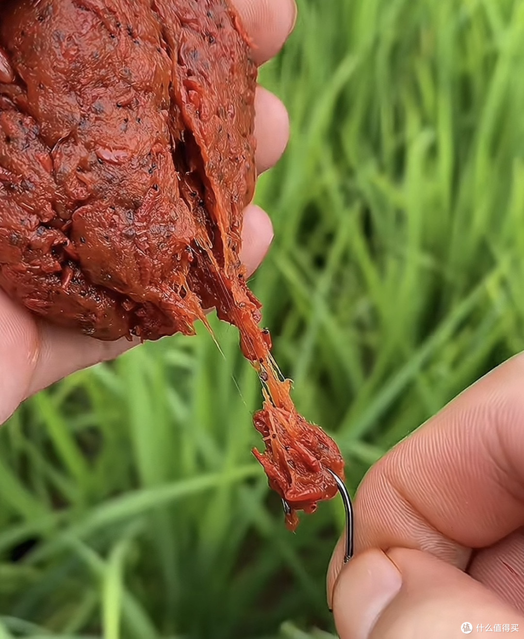 不空军饵料配速攻(不空军是谁的饵料) 不空军饵料配速攻(不空军是谁的饵料)