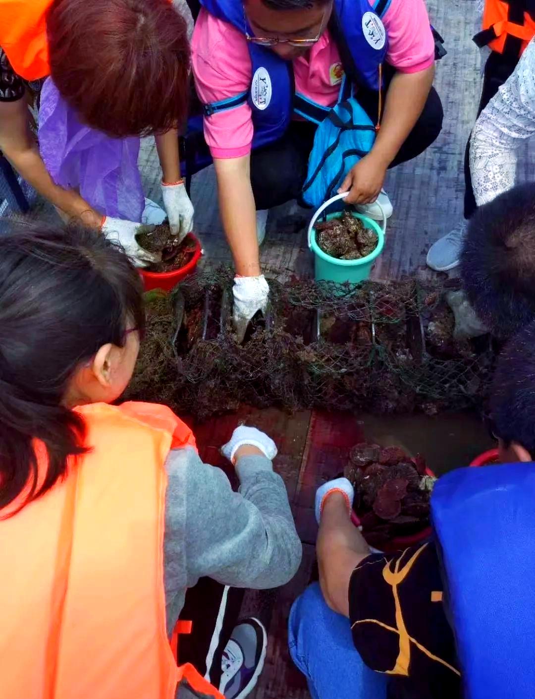 海钓用牡蛎打窝(海钓用海蛎是怎么钓的) 海钓用牡蛎打窝(海钓用海蛎是怎么钓的)