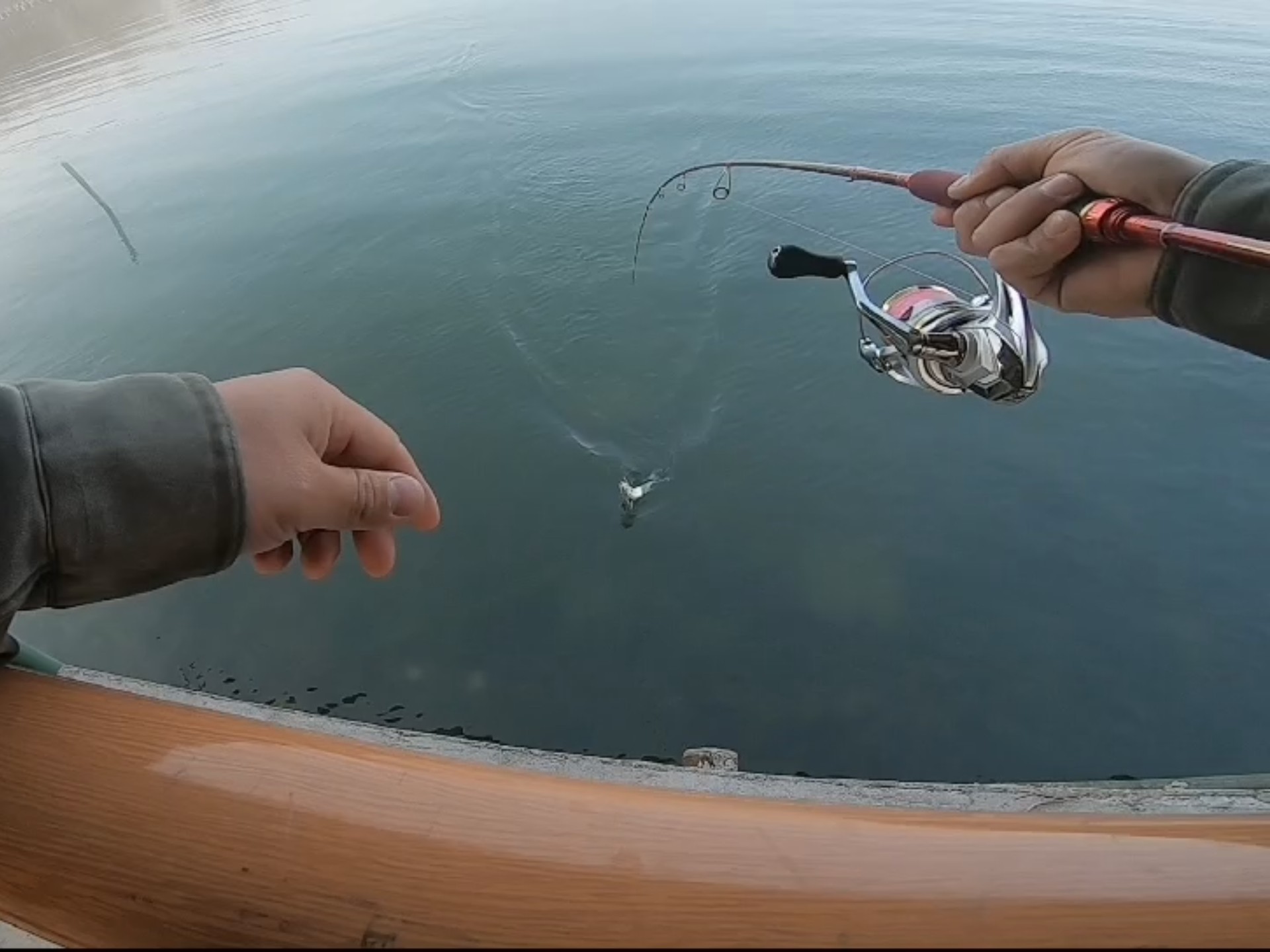 月湖路亚(水库为什么不让打路亚)