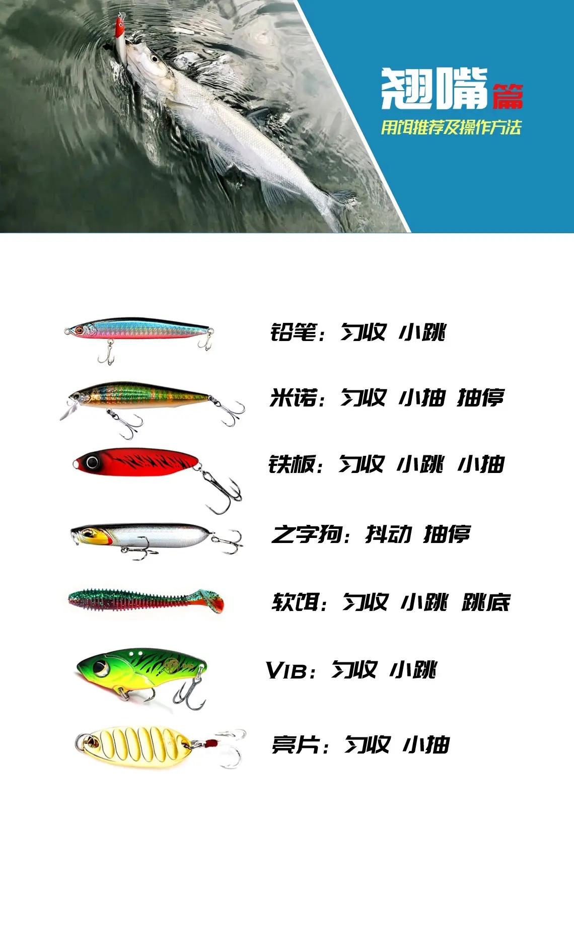 路亚海钓装备介绍(路亚海鲋) 路亚海钓装备介绍(路亚海鲋)