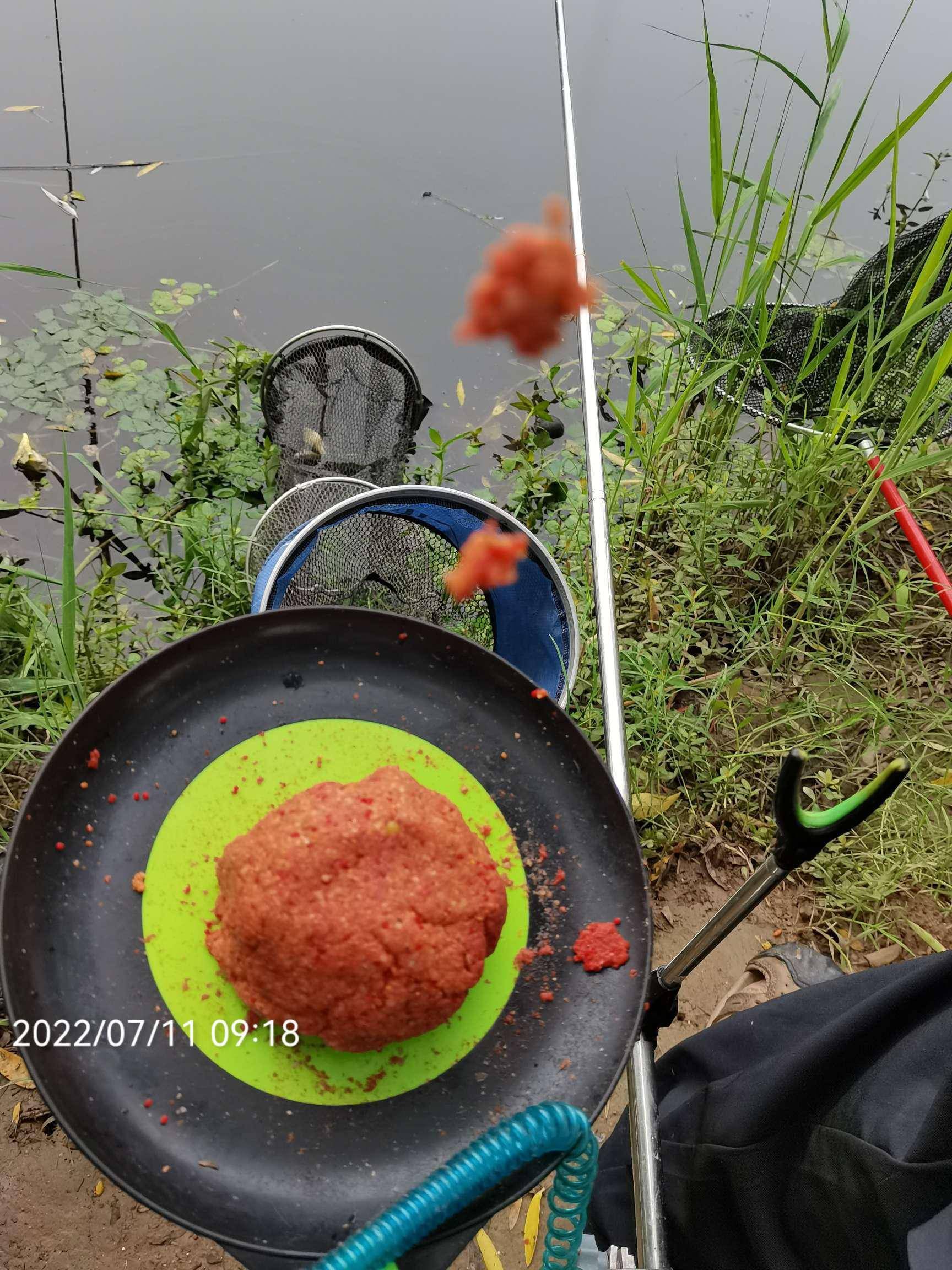 饵料相冲(饵料搭配原理) 饵料相冲(饵料搭配原理)