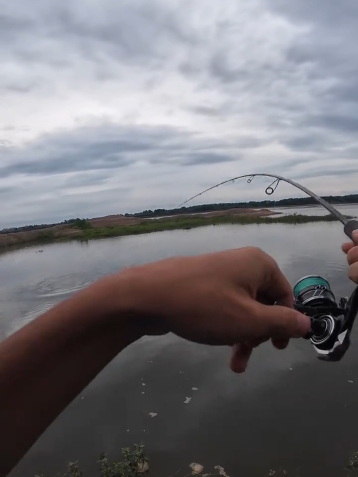 冬天路亚红眼(晚上路亚红眼鱼可以吗) 冬天路亚红眼(晚上路亚红眼鱼可以吗)