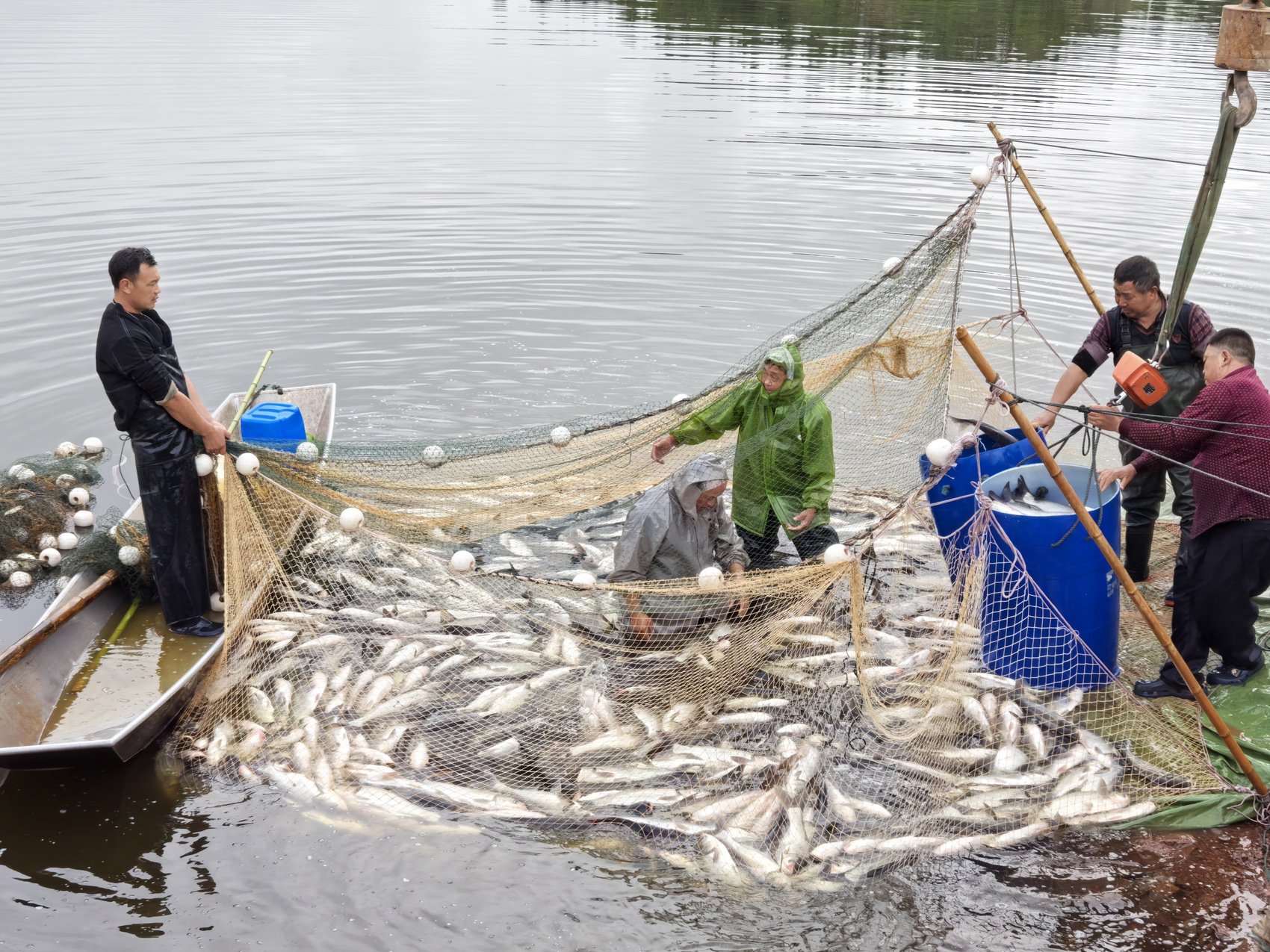 秋季水库鲤鱼技巧(秋天水库钓鲤鱼钓多深水) 秋季水库鲤鱼技巧(秋天水库钓鲤鱼钓多深水)