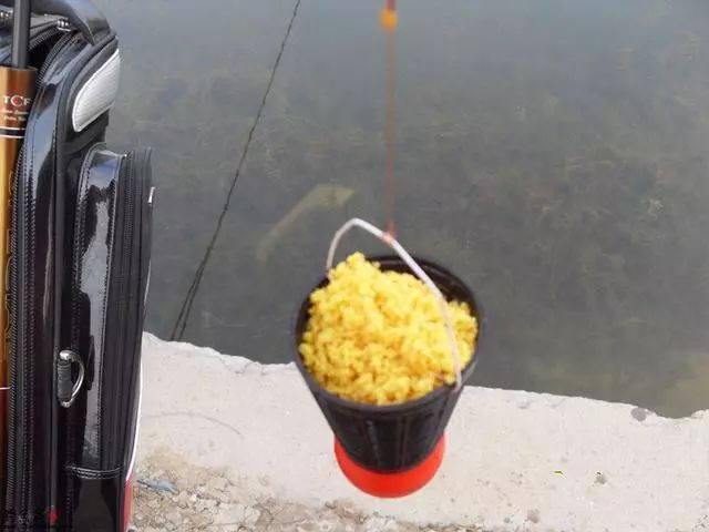 白条鱼饵料配方(白条鱼饵的制作方法和配方) 白条鱼饵料配方(白条鱼饵的制作方法和配方)