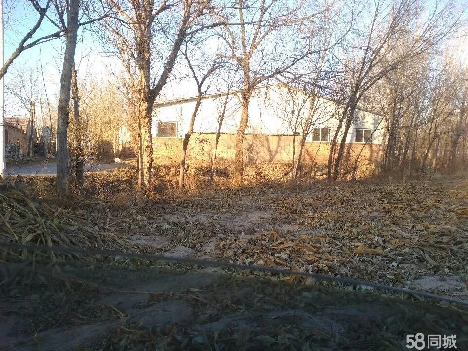 河北燕郊大厂渔具(河北燕郊大厂渔具店电话) 河北燕郊大厂渔具(河北燕郊大厂渔具店电话)