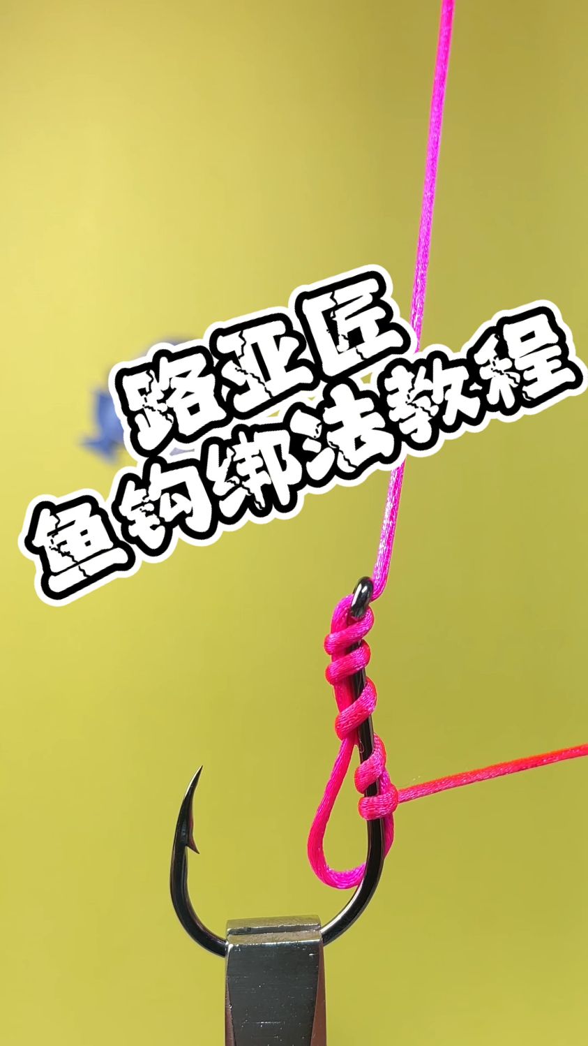 海钓多鱼钩绑法(海钓钩绑法视频教程)