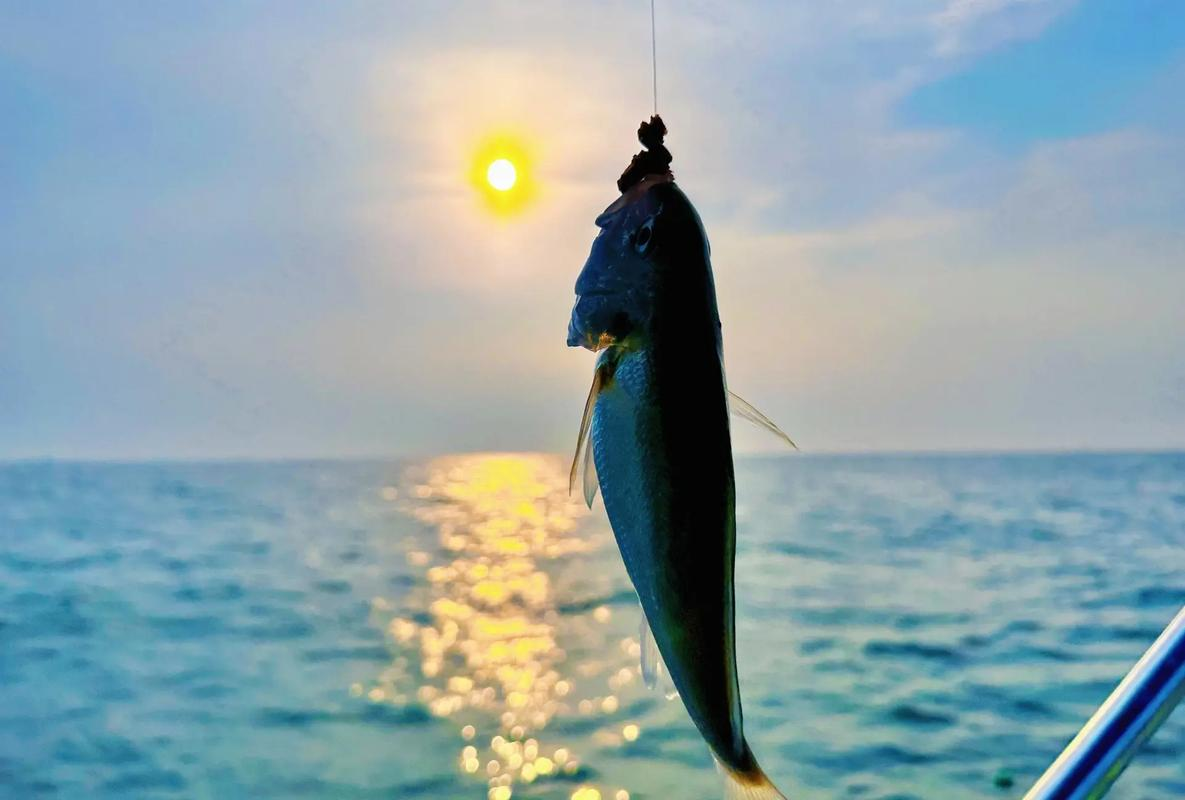 山东烟台海钓(烟台海钓钓鱼地点) 山东烟台海钓(烟台海钓钓鱼地点)