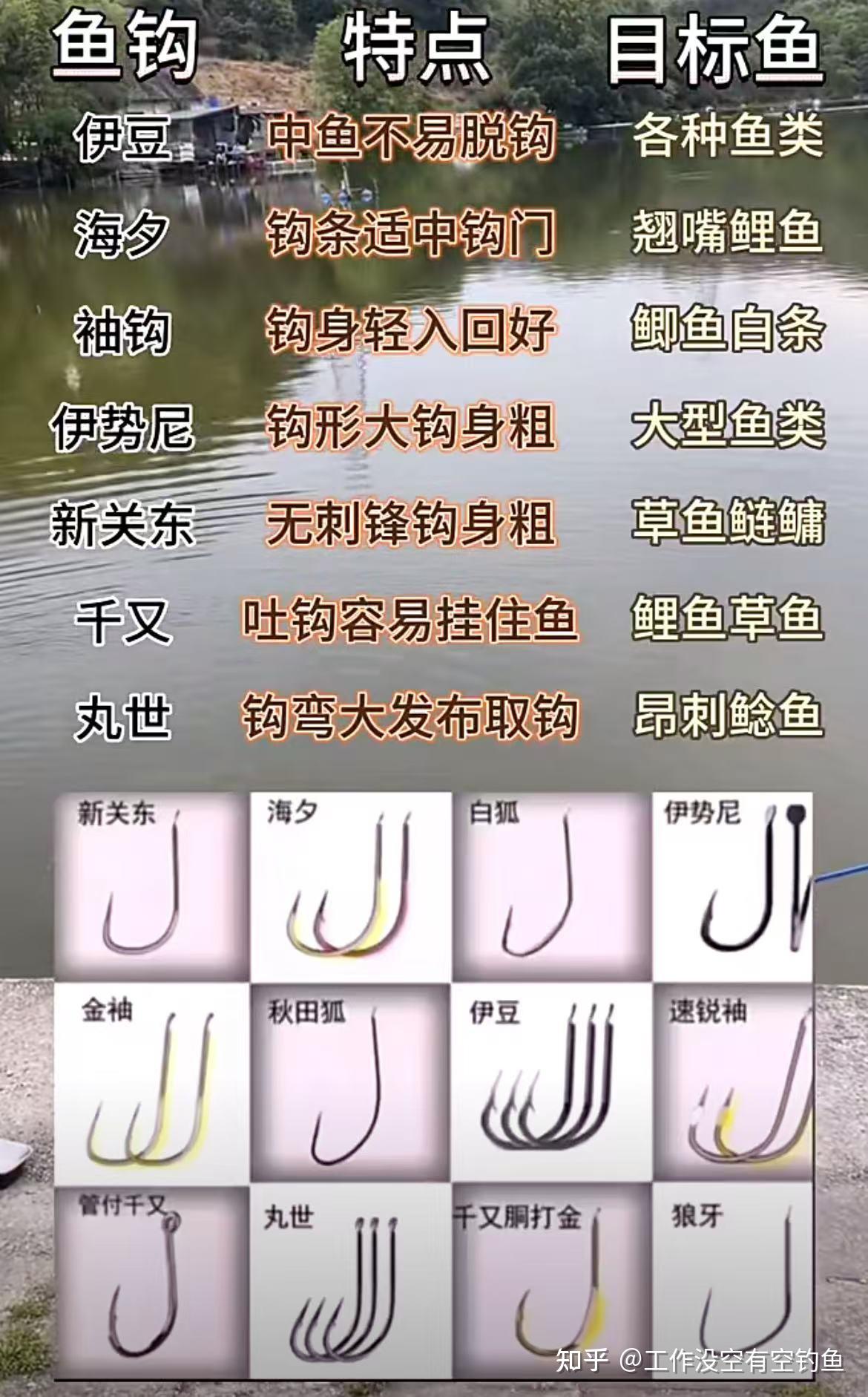 岸边海钓几号钩(岸边海钓用多长的杆子) 岸边海钓几号钩(岸边海钓用多长的杆子)