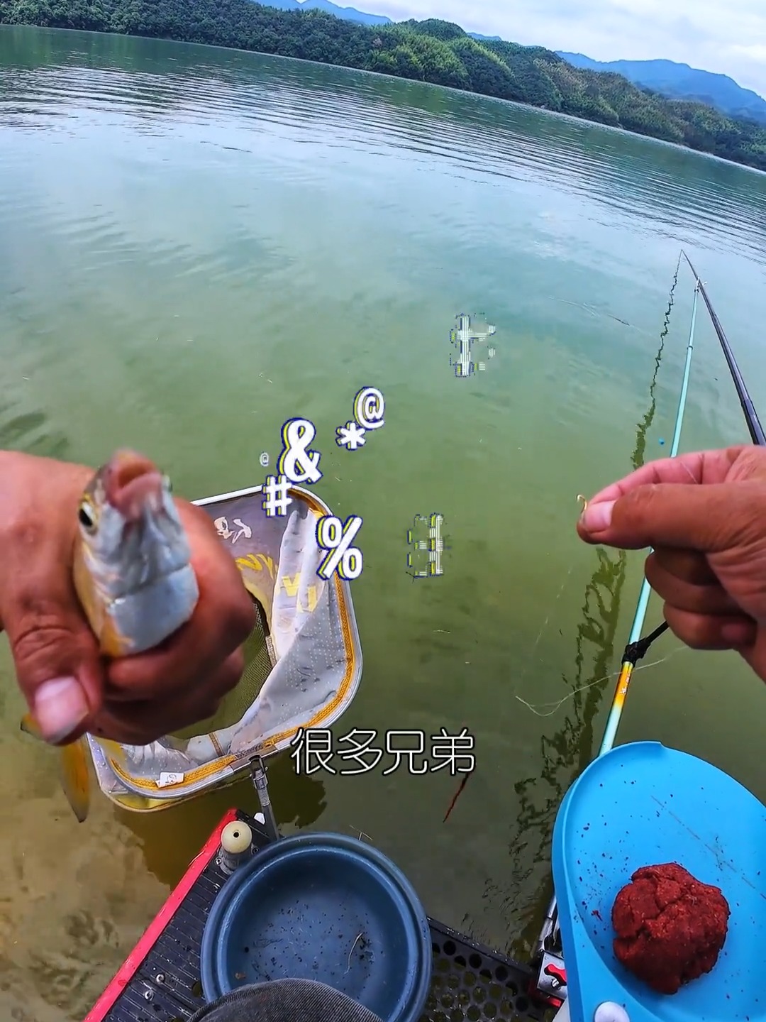 夏季水库钓黄尾技巧(水库钓黄尾选择什么地方) 夏季水库钓黄尾技巧(水库钓黄尾选择什么地方)