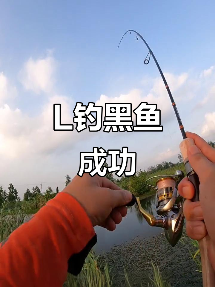 大连船钓黑鱼技巧(大连海边钓黑鱼技术) 大连船钓黑鱼技巧(大连海边钓黑鱼技术)