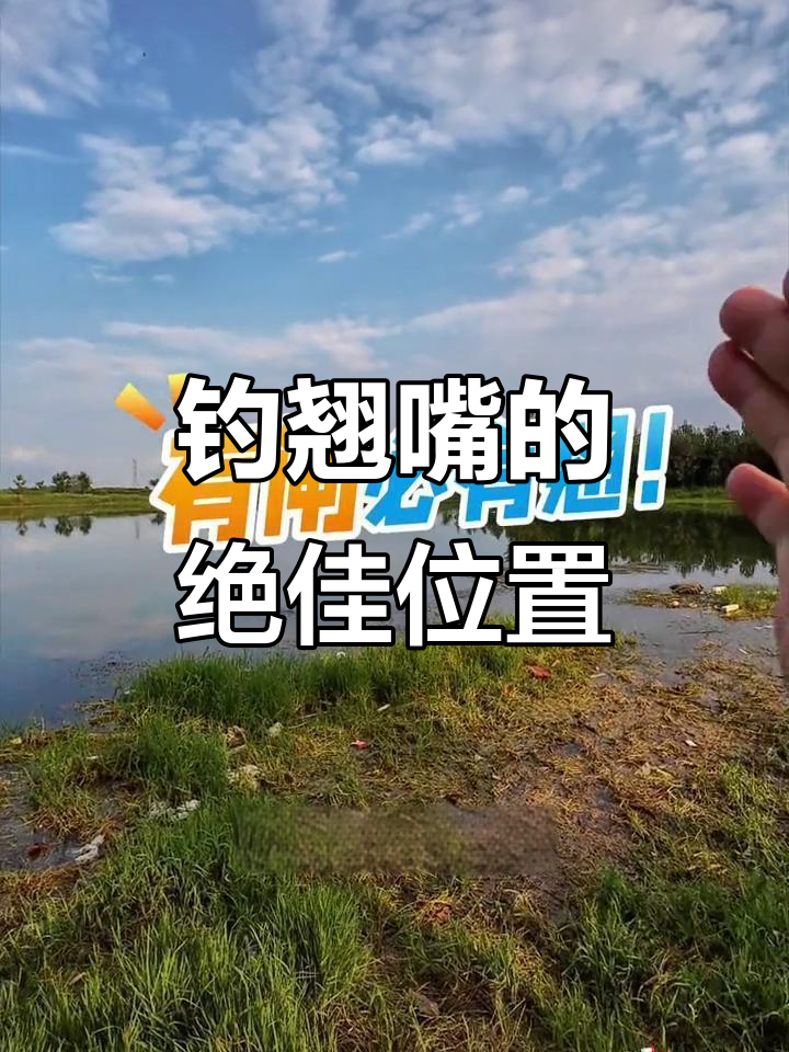 筏钓闸口钓鱼技巧(筏钓技巧讲解) 筏钓闸口钓鱼技巧(筏钓技巧讲解)