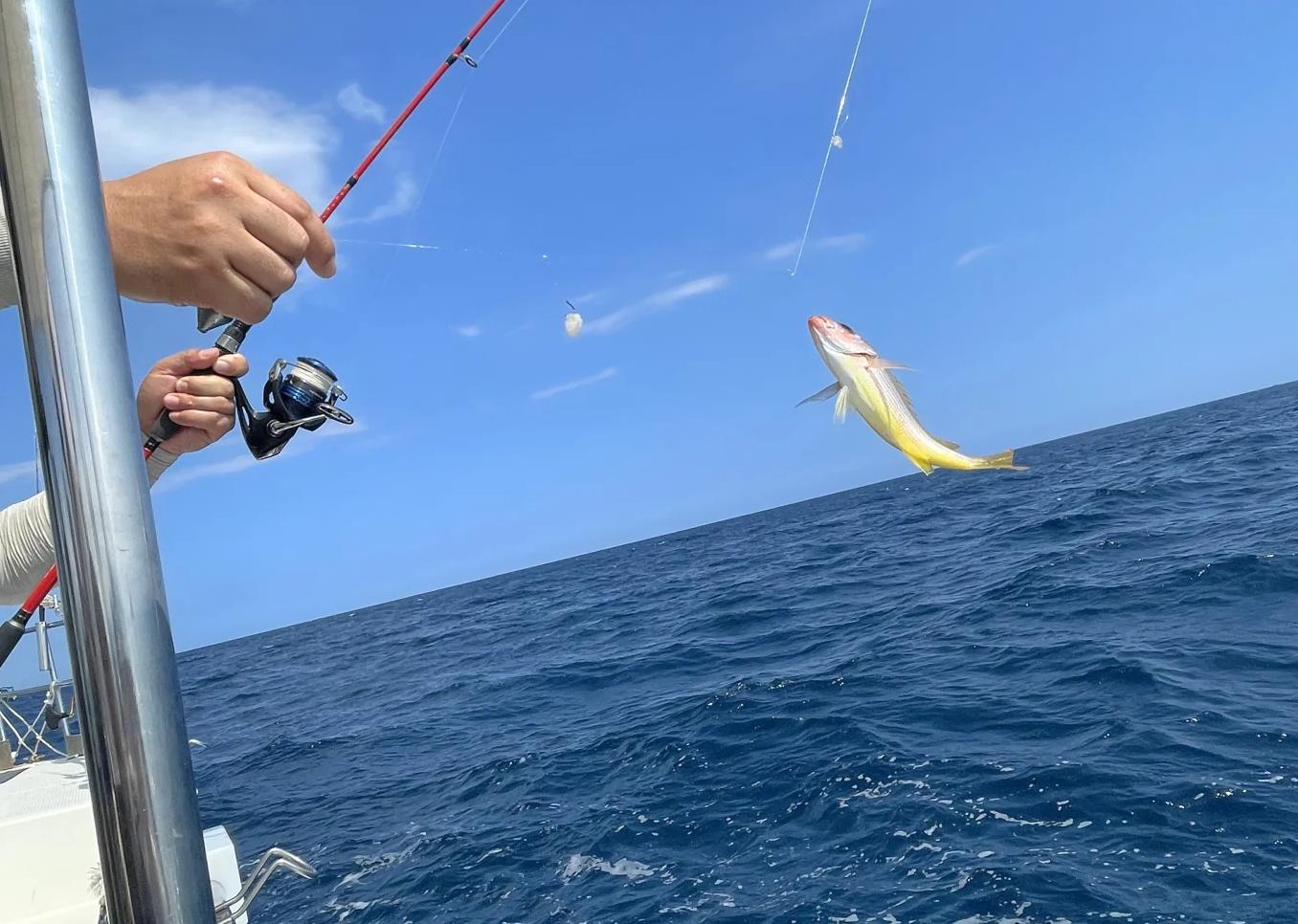 万宁北港海钓(万宁市招聘官网) 万宁北港海钓(万宁市招聘官网)