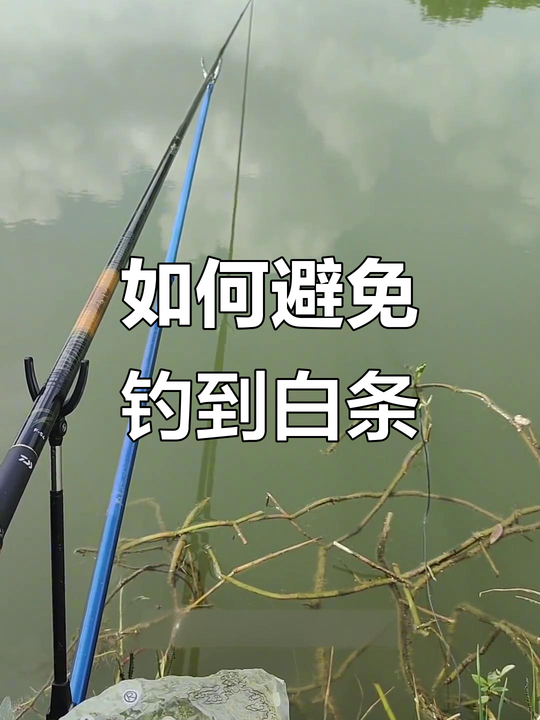 钓白条打窝技巧(钓白条打窝子饵料) 钓白条打窝技巧(钓白条打窝子饵料)