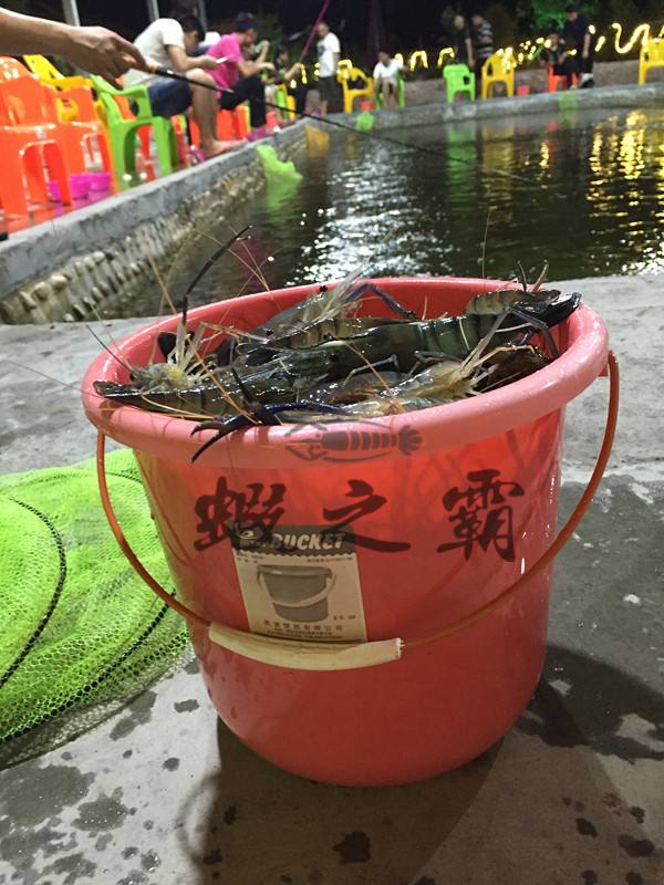 自制钓虾饵料(自制秘制虾钓鱼) 自制钓虾饵料(自制秘制虾钓鱼)