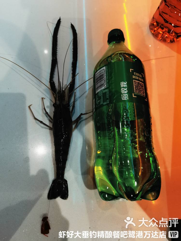 自制钓虾饵料(自制秘制虾钓鱼) 自制钓虾饵料(自制秘制虾钓鱼)