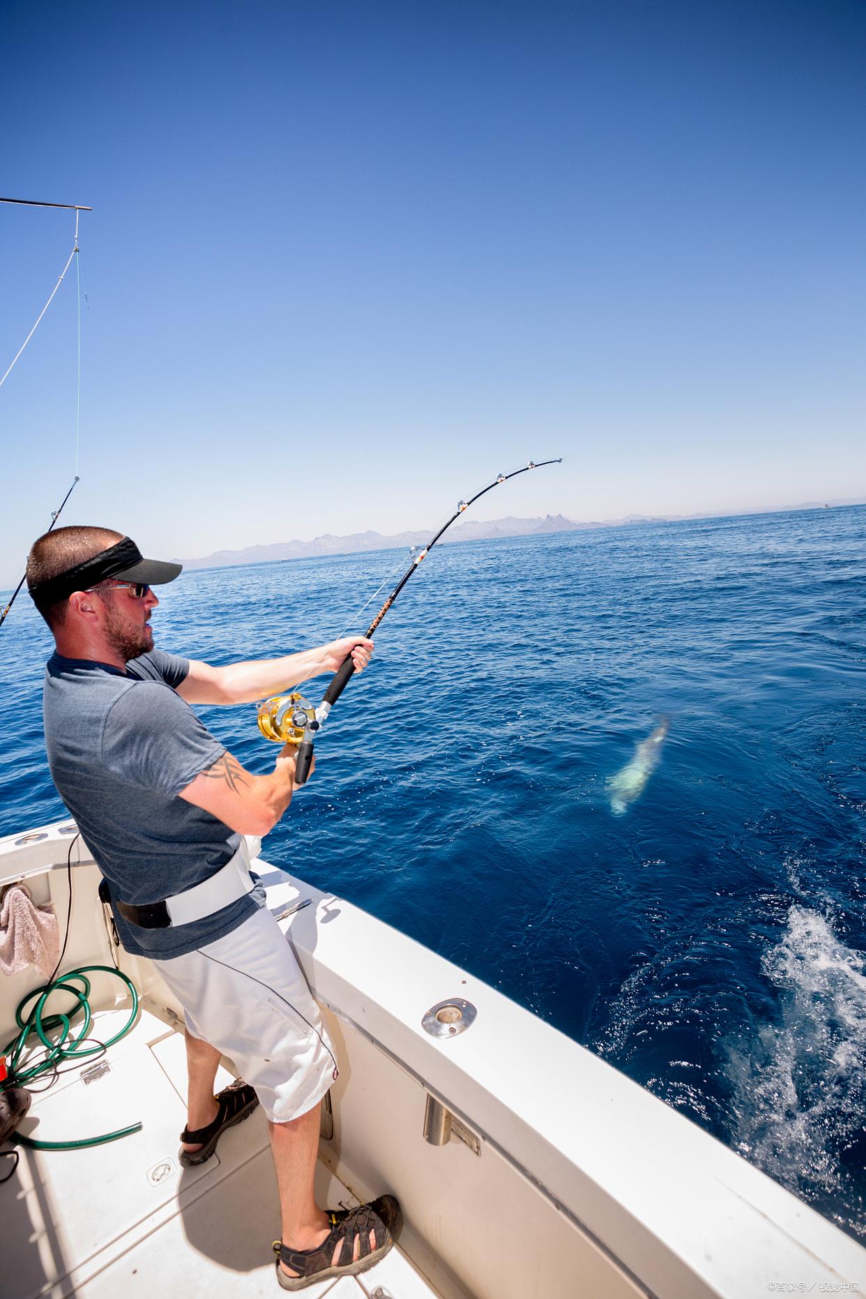 浙江潮水海钓(浙江沿海哪里可以海钓) 浙江潮水海钓(浙江沿海哪里可以海钓)
