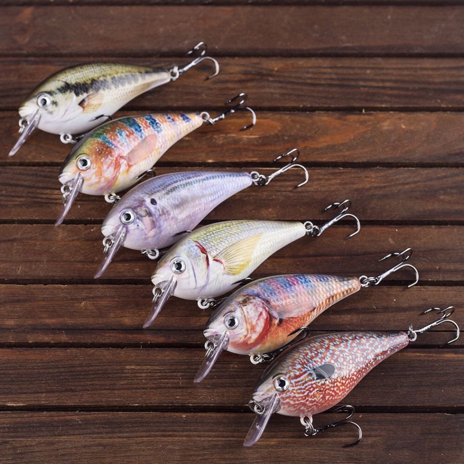 饵料平水(调平水如何判断饵料有无)