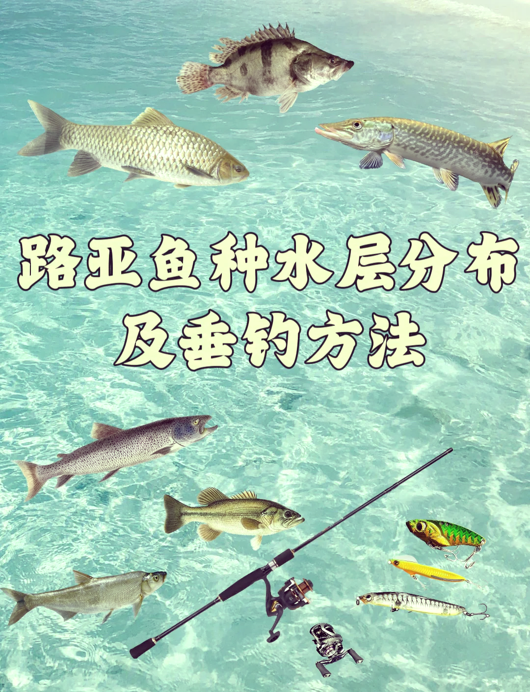 用路亚怎么钓鱼(路亚怎么钓鱼才上鱼)