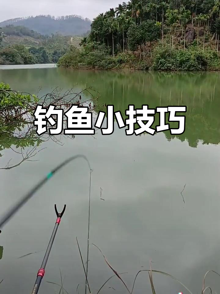 惠阳大坑水库钓鱼技巧(惠州市惠阳区大坑水库扩容) 惠阳大坑水库钓鱼技巧(惠州市惠阳区大坑水库扩容)