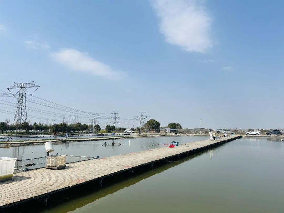 奉贤海钓鱼的地方吗(奉贤海钓地点) 奉贤海钓鱼的地方吗(奉贤海钓地点)