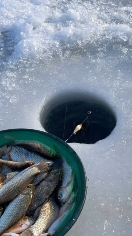 冬季冰水库钓鱼技巧(冬天水库结冰怎么钓鱼) 冬季冰水库钓鱼技巧(冬天水库结冰怎么钓鱼)