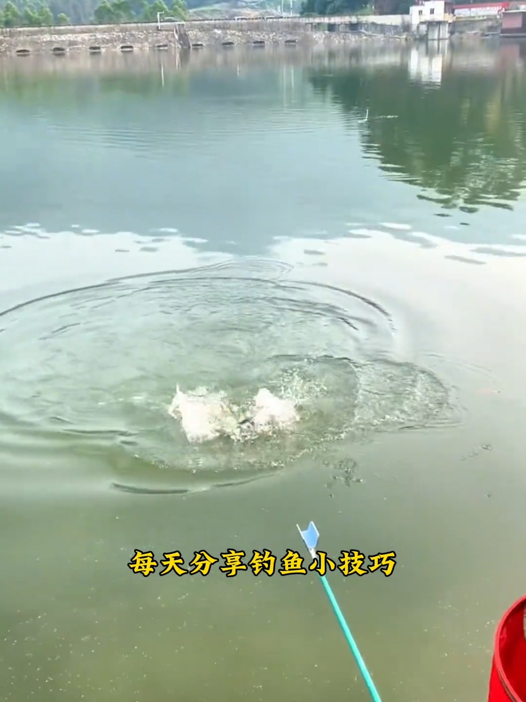 短竿钓大鱼技巧(短竿如何钓大鱼) 短竿钓大鱼技巧(短竿如何钓大鱼)