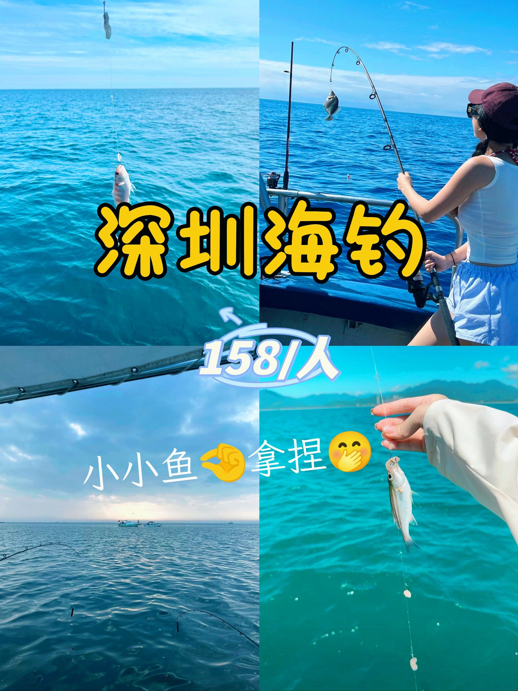 深圳出海钓鱼船费(深圳租船出海钓鱼)