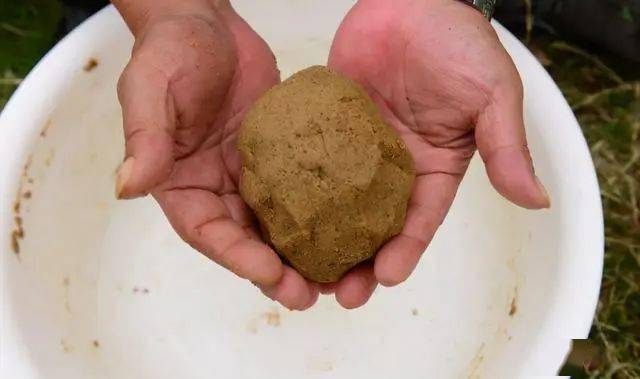 麦麸搭配别的饵料钓鱼(麦麸搭配别的饵料钓鱼怎么样) 麦麸搭配别的饵料钓鱼(麦麸搭配别的饵料钓鱼怎么样)