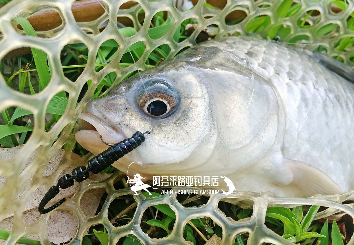 路亚吃钩(路亚咬钩是什么感觉) 路亚吃钩(路亚咬钩是什么感觉)