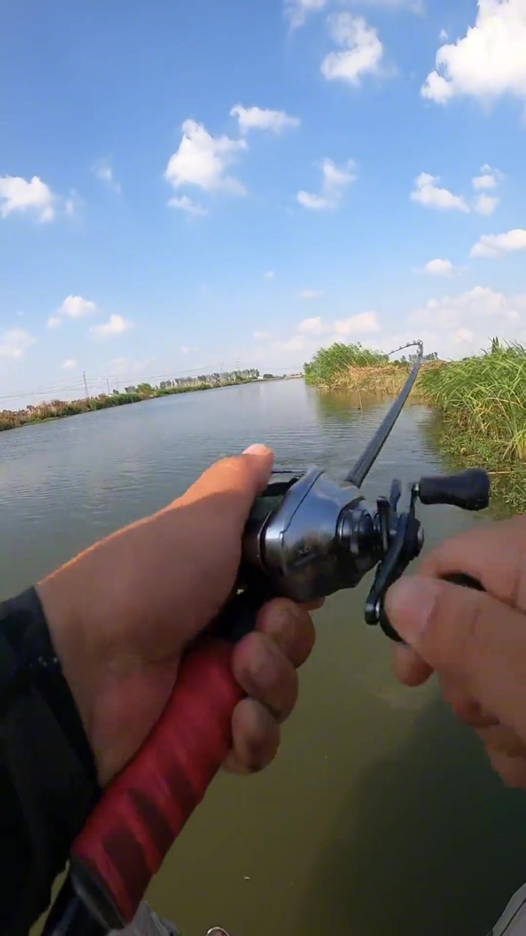 溜鱼的技巧(溜鱼技巧图解操作)