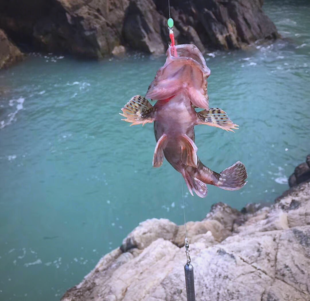 渔山海钓论坛(渔山海钓船老大电话) 渔山海钓论坛(渔山海钓船老大电话)