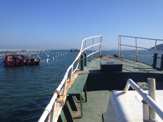 嵊泗海钓服务的吗(嵊泗 岸钓)