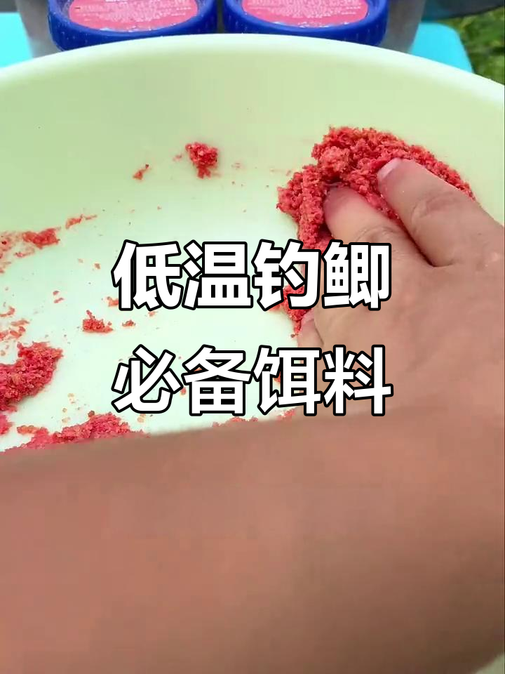 低温饵料状态(气温低饵料应该选什么味型)