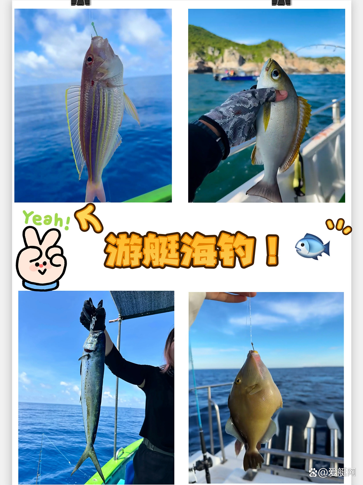 苏梅岛海钓晕船(海钓会晕船吗) 苏梅岛海钓晕船(海钓会晕船吗)