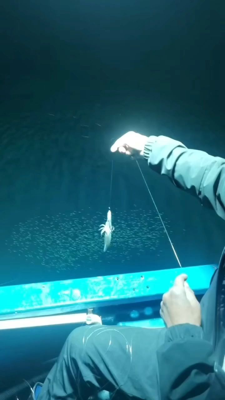 海钓鱿鱼钓腊鱼(海钓鱿鱼钓腊鱼可以吗)