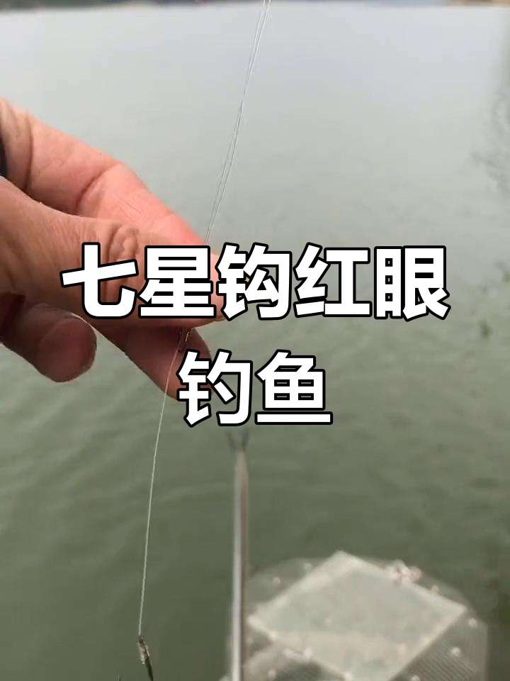 钓红眼鳟鱼饵料(怎样钓红眼鳟鱼)