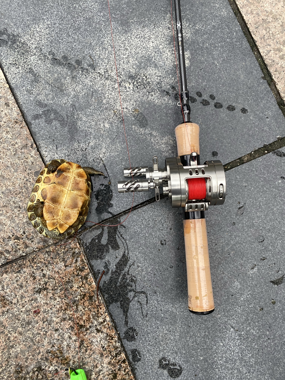 路亚竿左手抛(左手抛路亚视频教程)