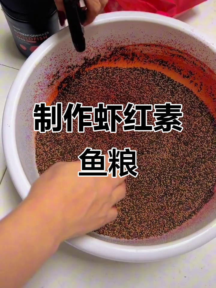 虾饵料怎么用(虾饵怎么制作) 虾饵料怎么用(虾饵怎么制作)