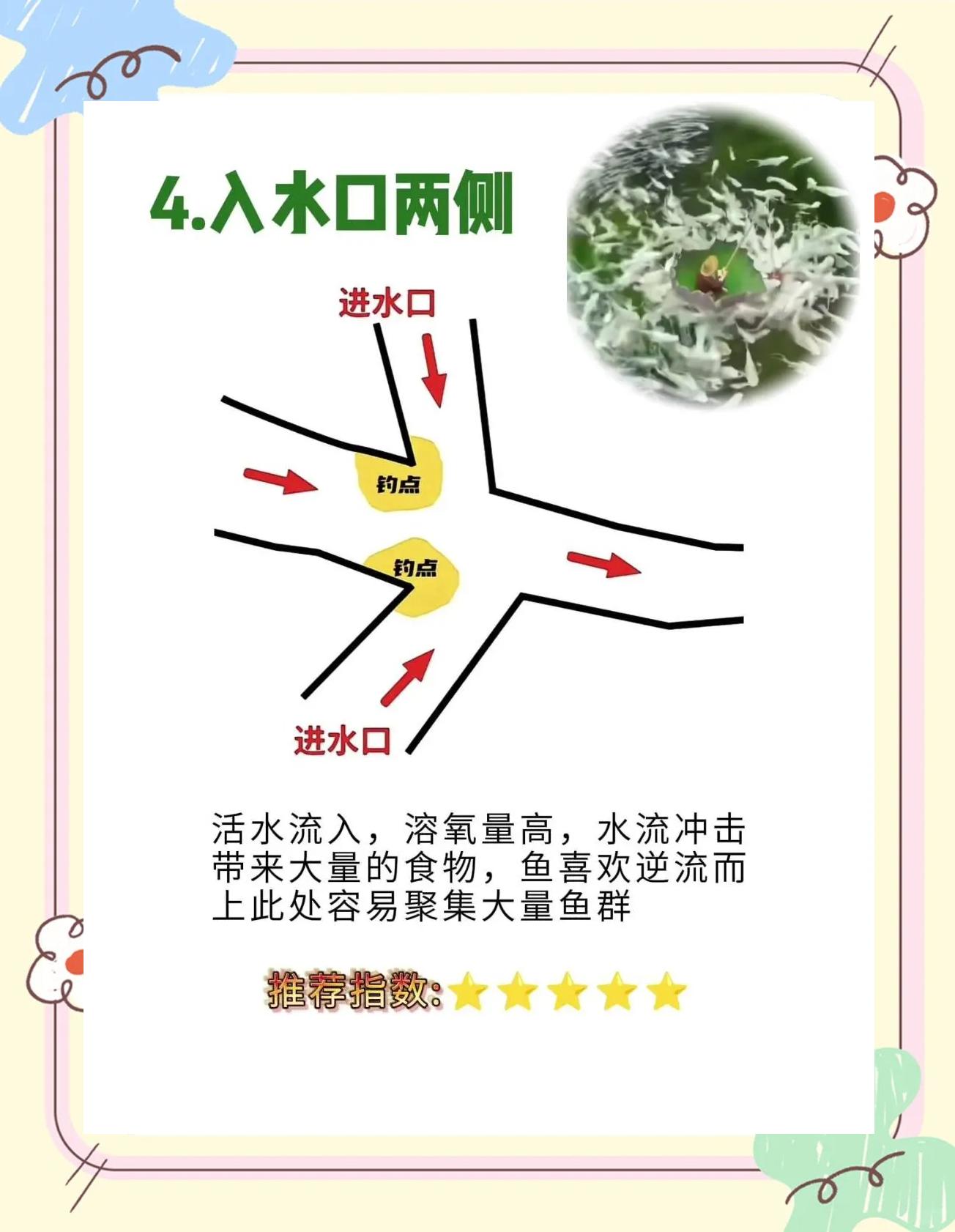 开鱼坑技巧(开鱼坑怎么能赚钱) 开鱼坑技巧(开鱼坑怎么能赚钱)