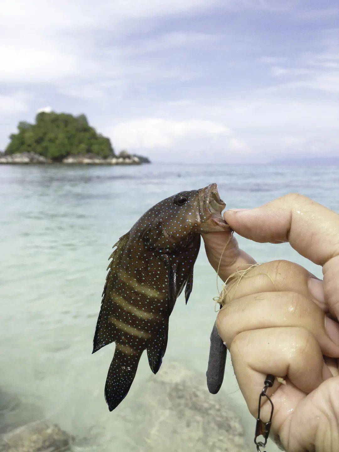 泰国海域可以路亚吗(泰国可以钓鱼吗) 泰国海域可以路亚吗(泰国可以钓鱼吗)