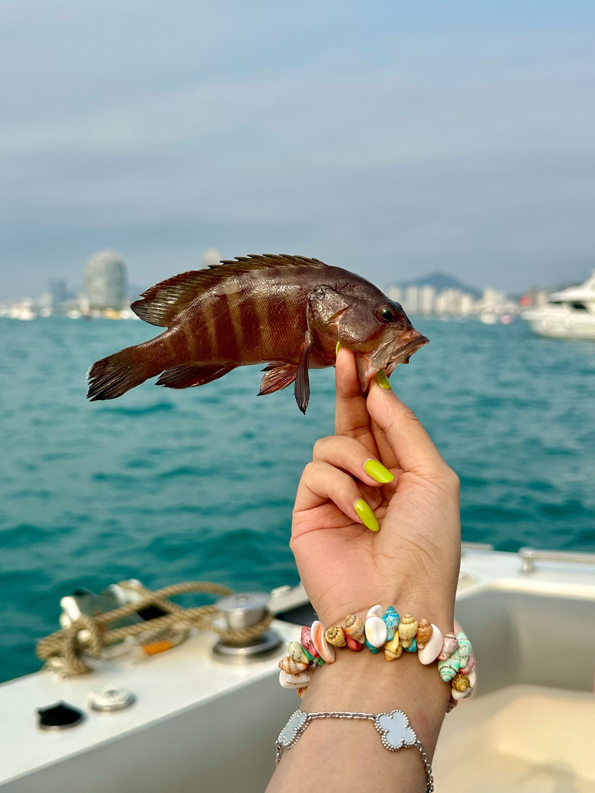 海南开心海钓(海南开心汽车销售服务有限公司)