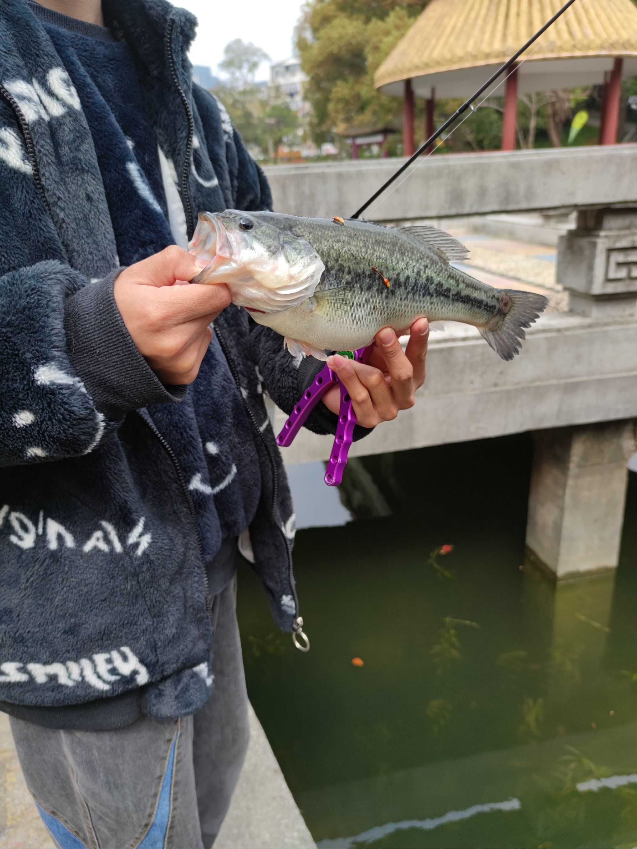 湖南免费路亚(湖南路亚标点) 湖南免费路亚(湖南路亚标点)