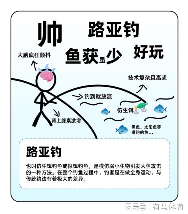 路亚趣图(路亚图解)