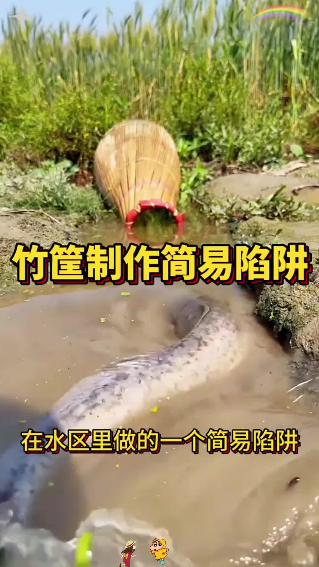 网鱼粘鱼的技巧(进制转换计算器app)