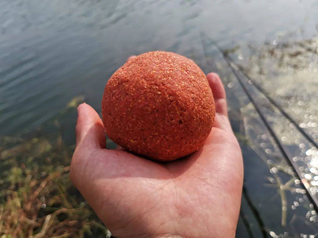 跑铅钓饵料(跑铅钓法饵料要注意什么)