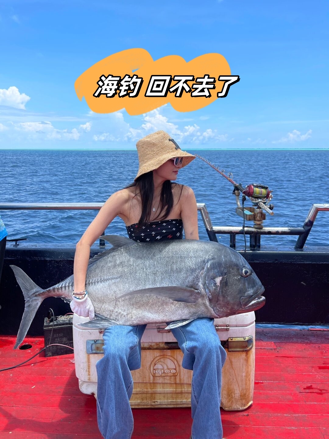 冬季能海钓鱼吗(冬季海里能钓什么鱼)